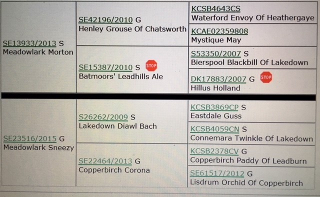 Provparning Morr-Bailey