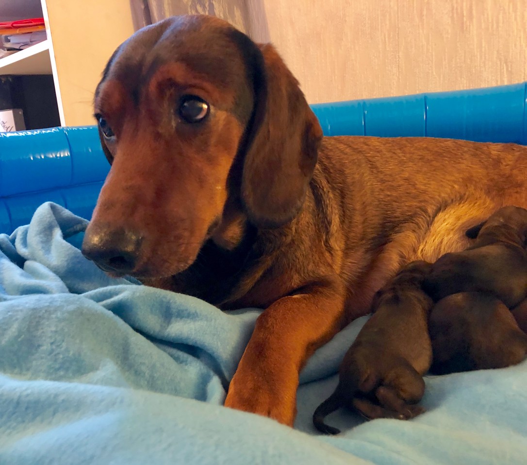 21ECB124-C242-4096-81A9-71629FA23187